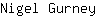 N***y