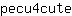 p***e
