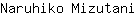 N***i