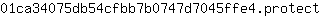 0***t