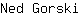 N***i