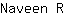 N***R