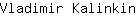 V***n