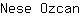 N***n