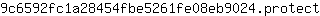 9***t