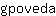 g***a