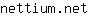 n***t