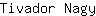 T***y