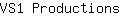 V***s