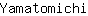 Y***i