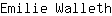 E***h