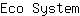 E***m