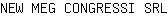 N***L