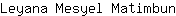 L***n
