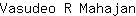 V***n