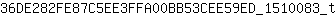 3***t
