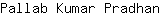 P***n