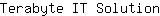 T***n