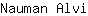 N***i