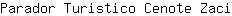 P***i