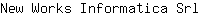 N***l