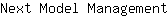 N***t