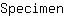 S***n