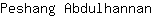 P***n