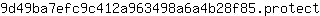9***t