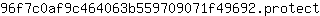 9***t