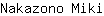 N***i