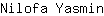 N***n