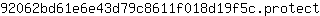 9***t