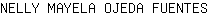 N***S