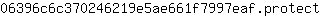 0***t