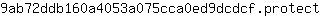9***t