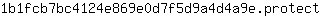 1***t