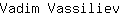V***v