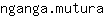 n***a