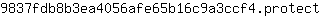 9***t