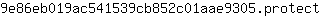 9***t