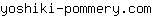 y***m