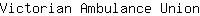 V***n