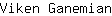 V***n