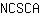 N***A