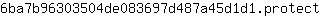 6***t