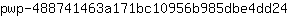 p***4
