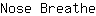 N***e