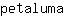 p***a