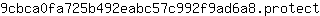 9***t